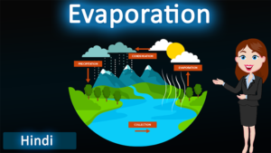 5.Evaporation