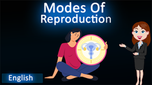 Modes of reproduction