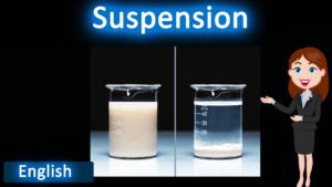 Suspension