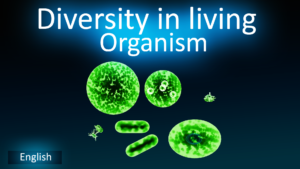 Diversity in living organism