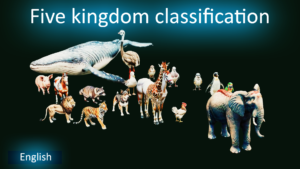 Five Kingdom classification